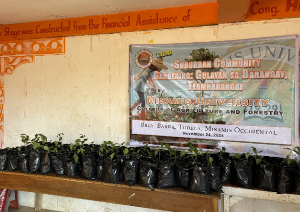 SUBURBAN COMMUNITY GARDENING: TEAMNABANGAY GULAYAN SA BARANGAY BARRA PROJECT